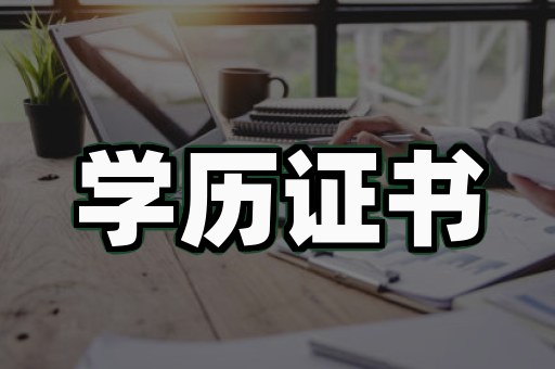 实体店定制 vs 离婚证制作软件：谁更懂这届用户？